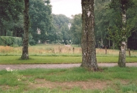 veldje Naarderweg/Bussummerweg