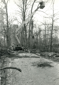 bomenkap Eemnesserweg