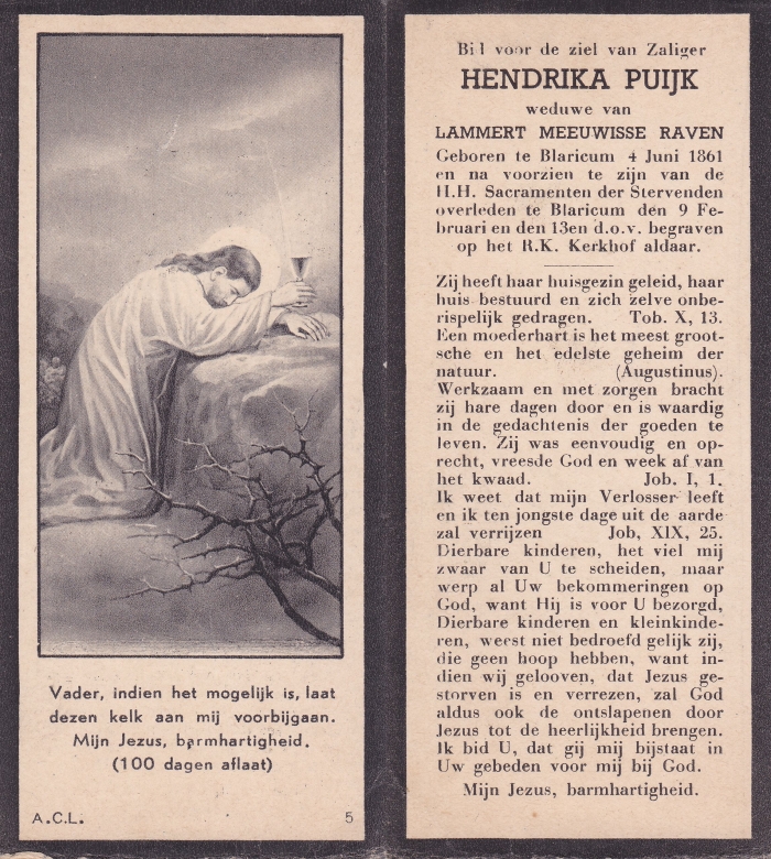 Hendrika Puijk 1861 - 1941