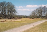 heide bij de Tafelberg