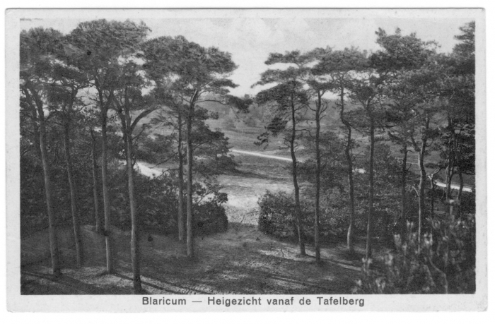 panorama vanaf de Tafelberg