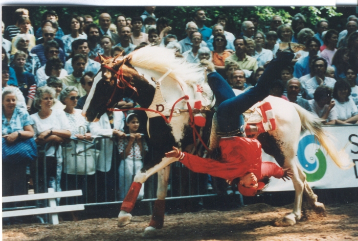 Blaricumse paardendagen 1999