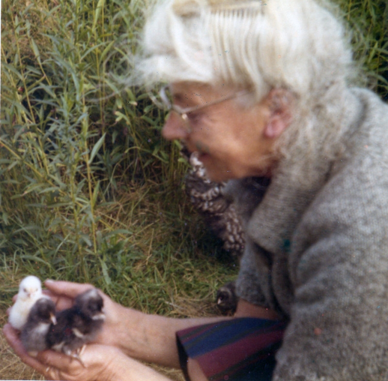 juffrouw Boks ( kippenvrouwtje ) 1971