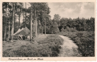 kampeerterrein Bosch en Heide