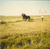 eggen op de Meent