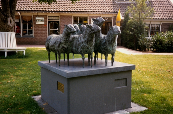 schapen van Tineke de Bot