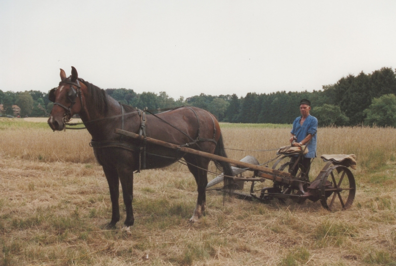 Max Pouw met paard en maaimachine