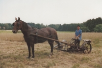 Max Pouw met paard en maaimachine