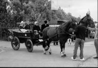 paard en wagen in optocht