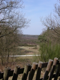 zicht op de heide vanaf de Tafelberg