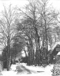 Statenkamer in de winter