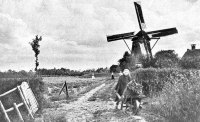 foto van de Molen