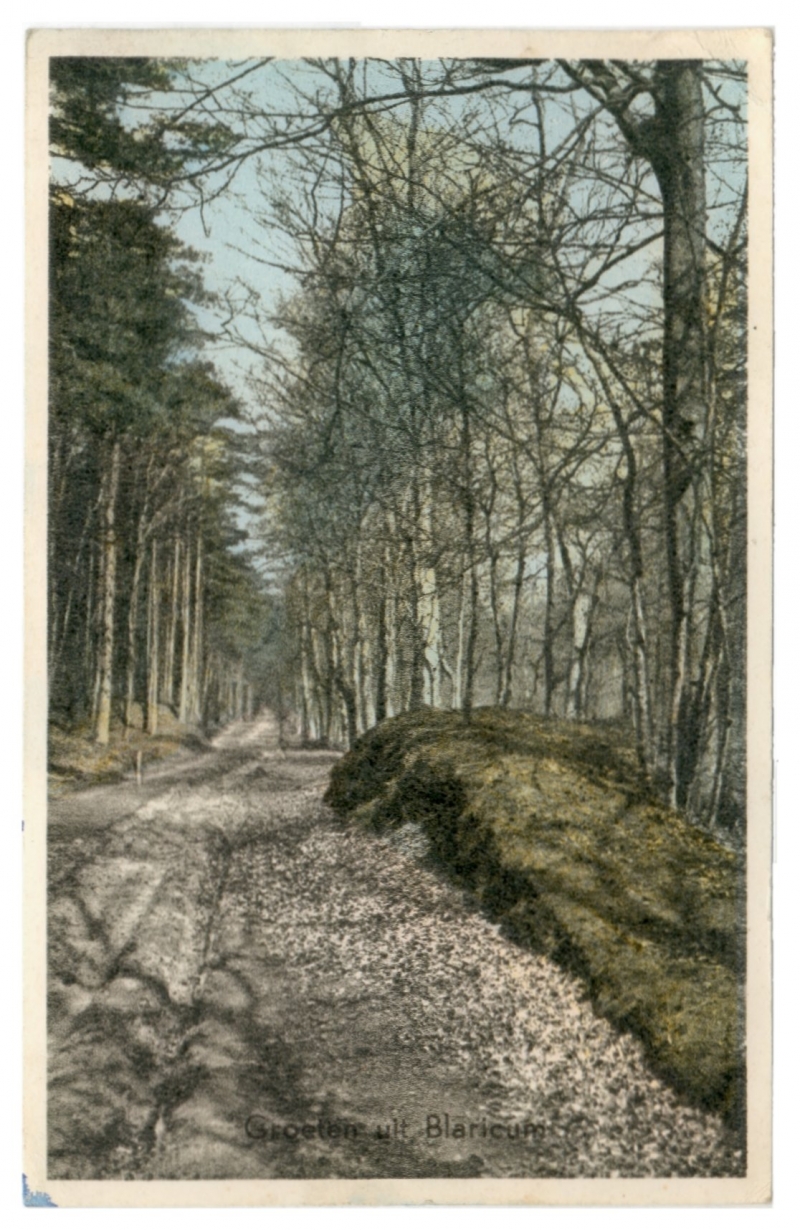 Oude Naarderweg