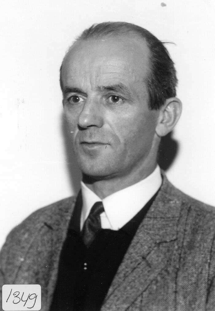 Kees van Wegen