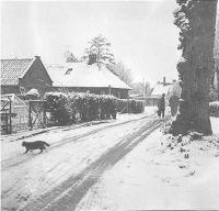 Raadhuisstraat 14 ( Alie Rokebrand )