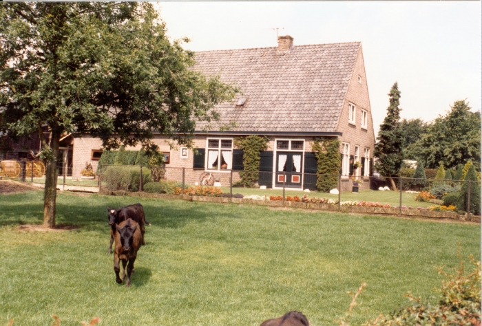 boerderij Groenestein ca.1990