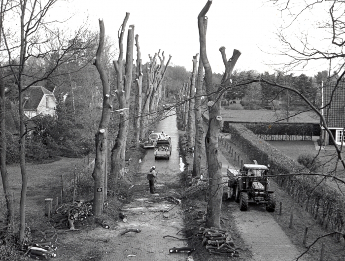 bomenkap Eemnesserweg april 1999