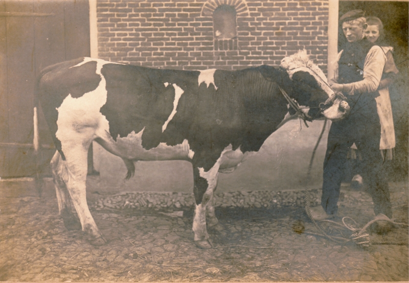 boerderij Binnenweg ca.1915