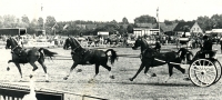 Concours Hippique 1985