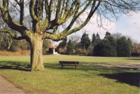 plantsoen met oorlogsmonument